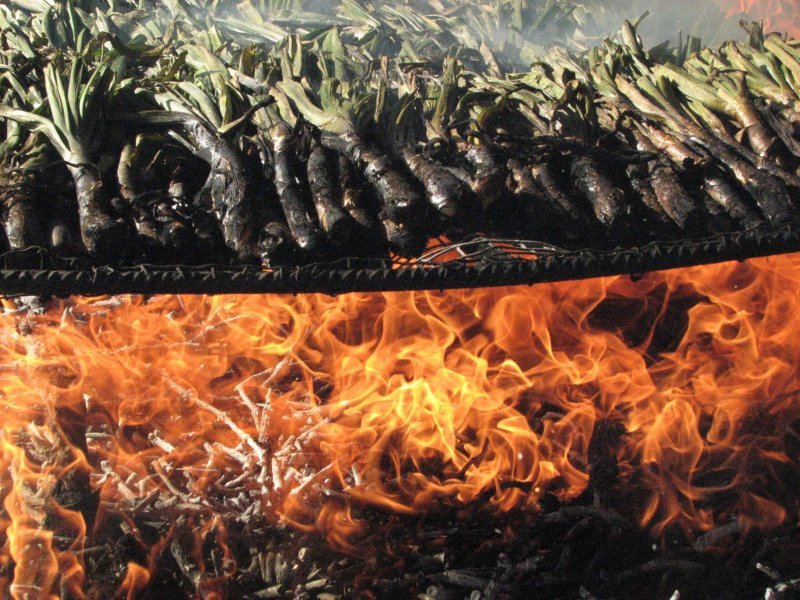 El Economato trae, como cada año, los mejores calçots de Tarragona