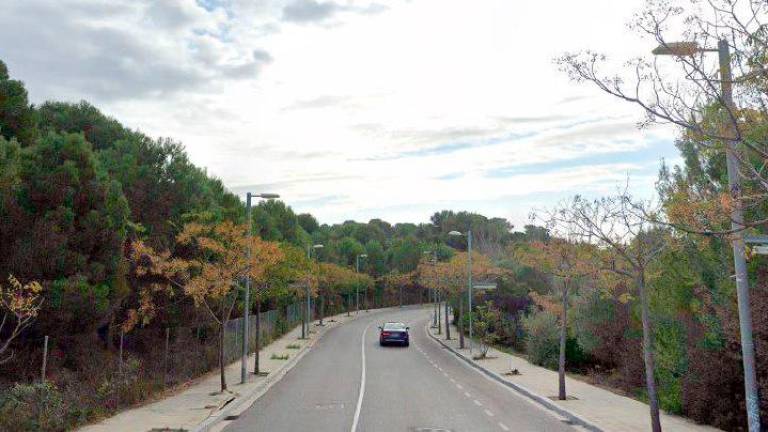 Los hechos se han producido en la avenida De la Pedrera. Foto: Google Maps