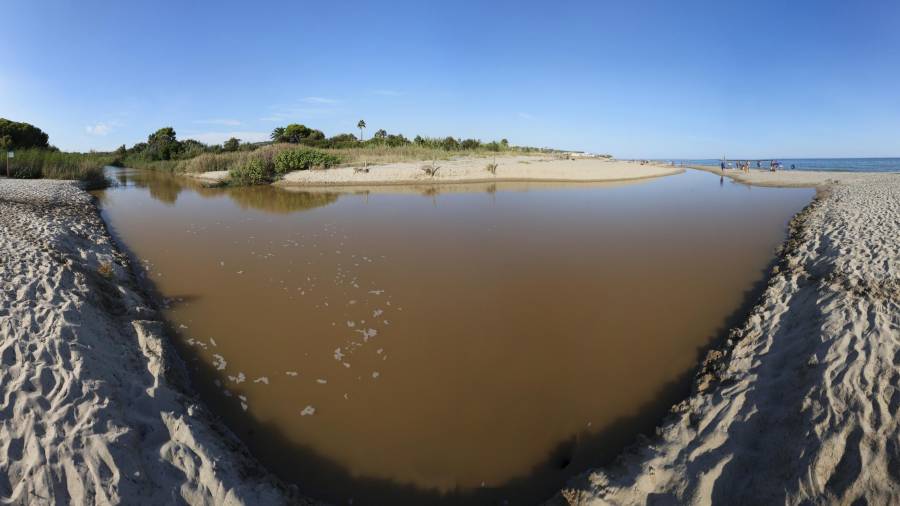 La desembocadura del Gaià es uno de los puntos a preservar, ya que supone el enlace con el Mediterráneo. FOTO: PERE FERRÉ