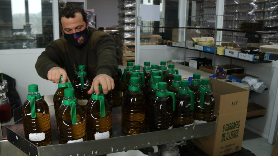 Un trabajador de la cooperativa de La Palma d'Ebre etiquetando garrafas de aceite. Foto: ACN