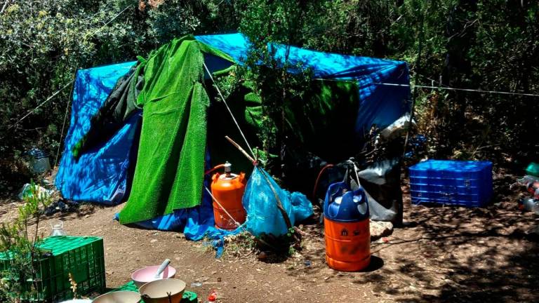 $!Un campamento junto al cultivo. Foto: Mossos