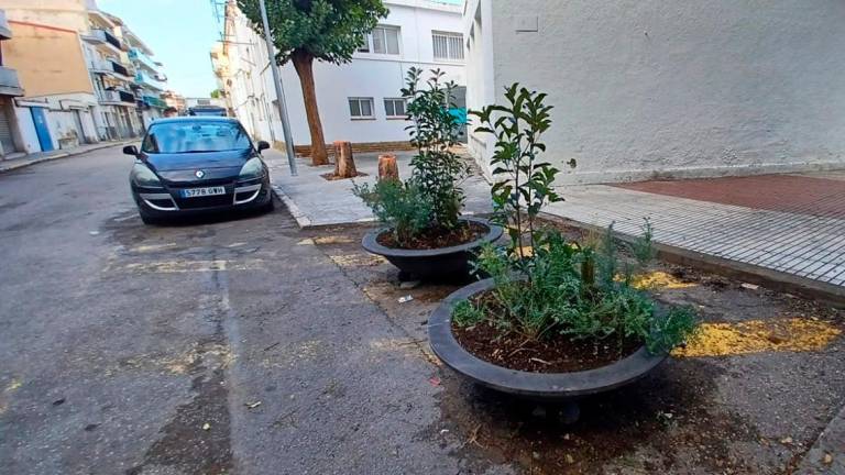 $!Las plantas ganan espacio en las calles de Calafell.