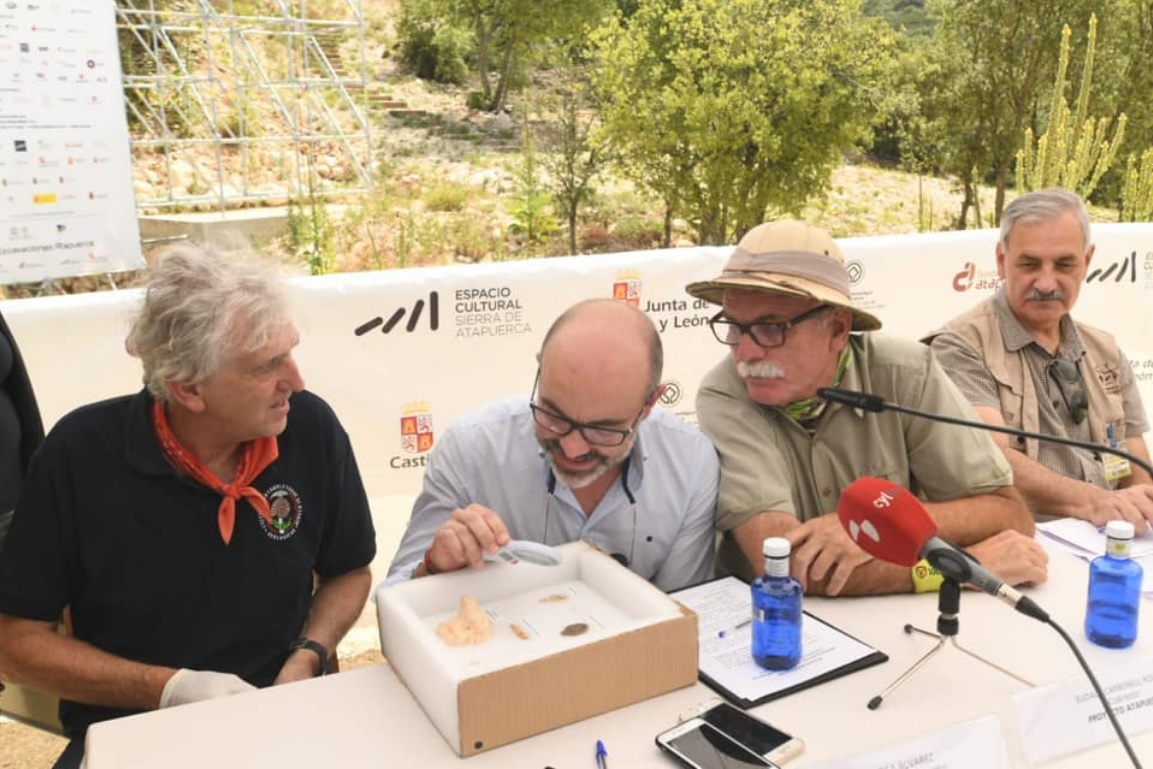 Investigadores tarraconenses descubren en Atapuerca un pene gigante... de  oso